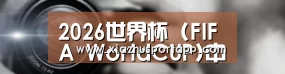 公司动态