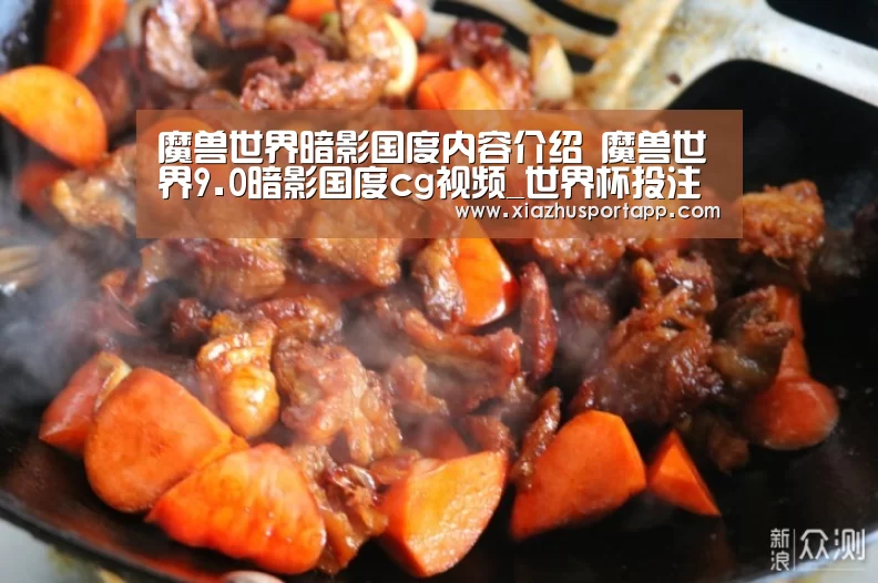 魔兽世界暗影国度内容介绍 魔兽世界9.0暗影国度cg视频_世界杯投注站(图1) 2026世界杯投注平台