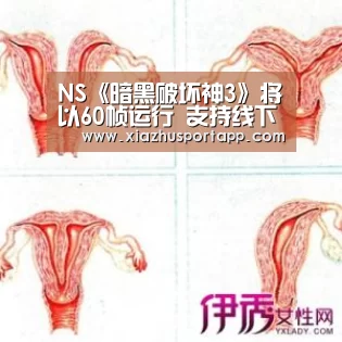 NS《暗黑破坏神3》将以60帧运行 支持线下同屏联机【2026世界杯投注平台】(图2) 世界杯投注站官网